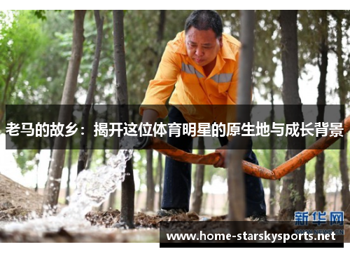 老马的故乡：揭开这位体育明星的原生地与成长背景