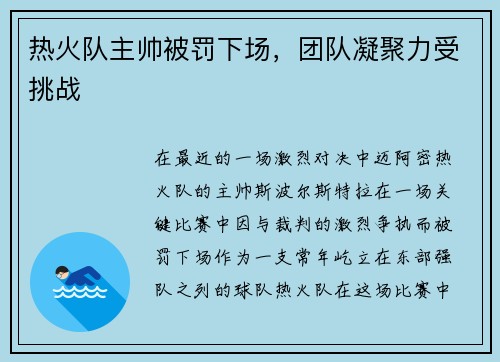 热火队主帅被罚下场，团队凝聚力受挑战
